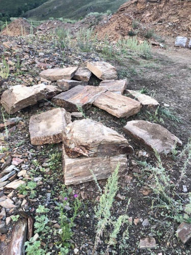 Пошаговая дорожка из плит златолит кора дерева купить в Красноярск